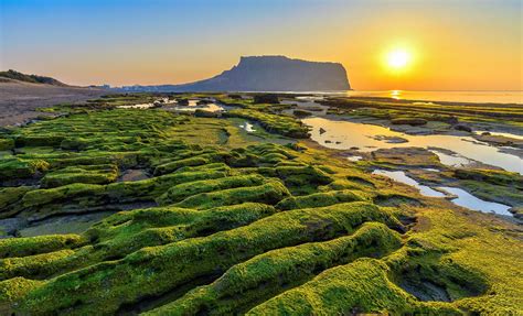 The 10 Best Jeju Island South Korea Cruise Excursions & Shore Trips