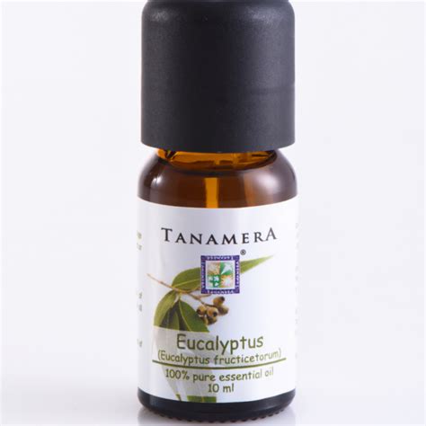 Tanamera Pure Essential Oil 10ml - Aromatherapy - Ginger/Ylang Ylang ...