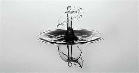 Water Drop Splash Photography Art Photograph by Wall Art Prints - Fine ...