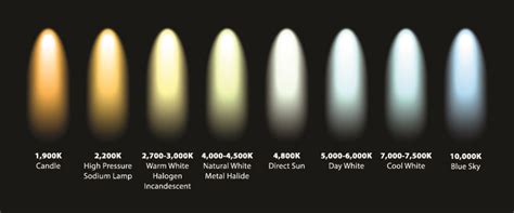 Light Bulb Color Types Chart