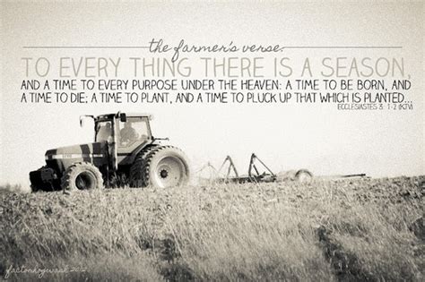 Quotes About Harvest Time. QuotesGram