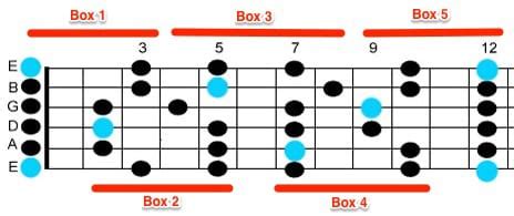 Learn Guitar Scales In 8 Easy Steps