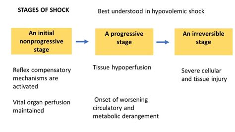 Pathology of Septic shock | Pathology Made Simple