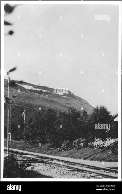 Planting at Abisko Tourist Station Stock Photo - Alamy