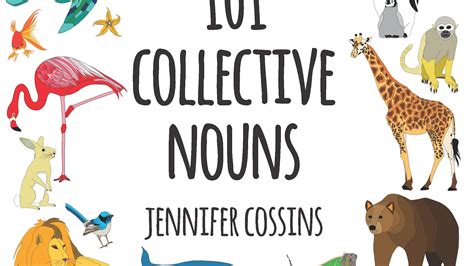 101 Collective Nouns by Jennifer Cossins - Books - Hachette Australia