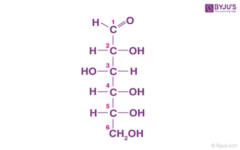 Basic Carbohydrate Chemical Structure