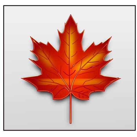 Canada Maple leaf Clip art - maple leaf png download - 2400*2400 - Free ...