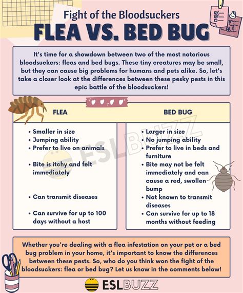 Flea vs. Bed Bug: How to Identify and Deal with Common Household Pests ...