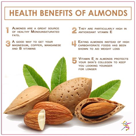 Almond Nuts Nutrition Chart