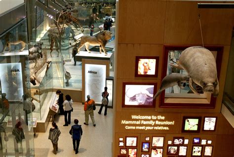 Smithsonian National Museum of Natural History