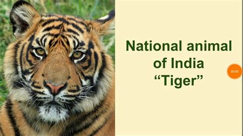 Essay on National Animal of India "Tiger" - YouTube