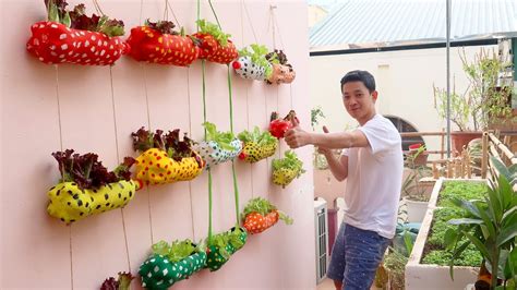 Clever Plastic Bottle Vertical Garden Ideas, Gardening Ideas for home ...