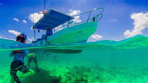 Snorkeling (Cancun)