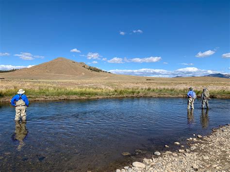 Trout Habitat and Feeding Behavior