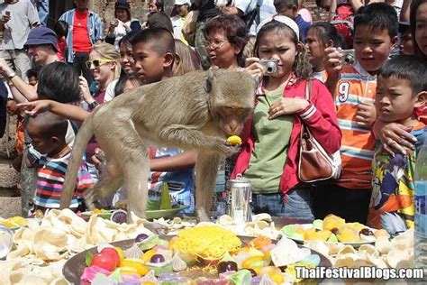 Monkey Buffet Festival Lopburi Thailand - Holidify