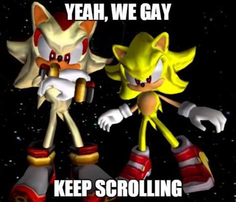 Like this is you ship Sonic and Shadow the hedgehog from Sonic the ...