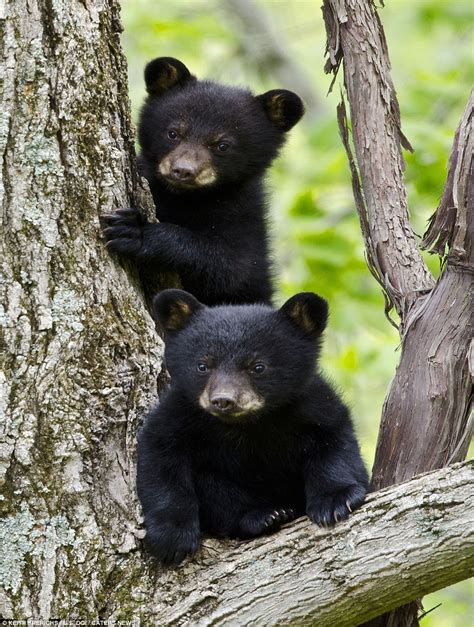 America's National Park photos voted best of spring by U.S. Department ...