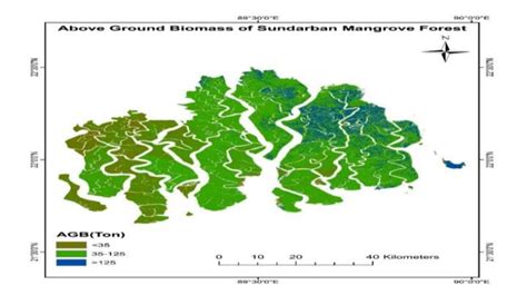 AGB map of Sundarbans mangrove forest | Download Scientific Diagram