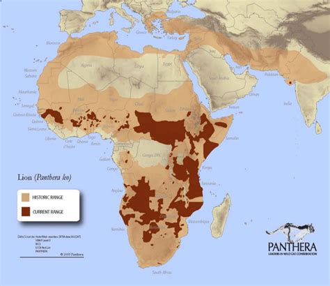 Lion Habitat Map