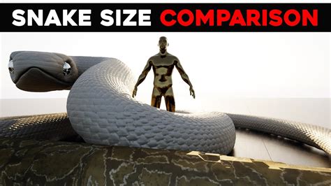 Titanoboa Vs Anaconda Size