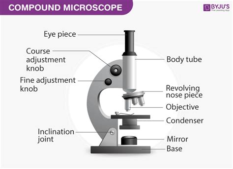 Compound Microscope: Definition, Diagram, Parts, Uses, Working Principle