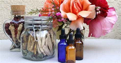 How to Make Herbal Tinctures? – HerbalShop