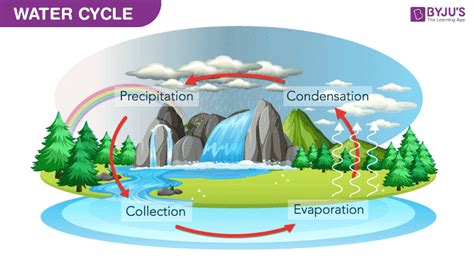 Hydrosphere - Importance Of Hydrosphere | Layers Of Hydrosphere