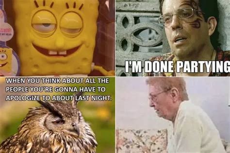 20 hilarious hangover memes that will help get you through a difficult ...