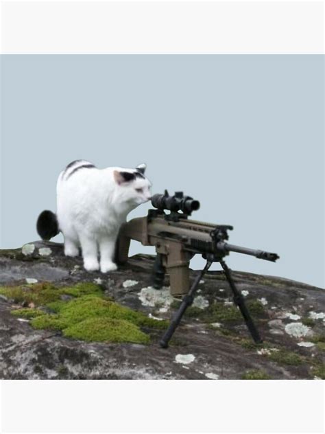 "Sniper Cat Meme" Photographic Print for Sale by Goath | Redbubble