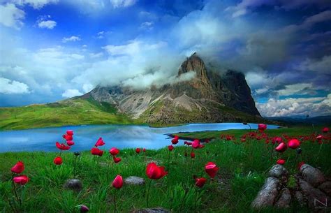 100 Background Nature Wallpaper For Laptop Images & Pictures - MyWeb