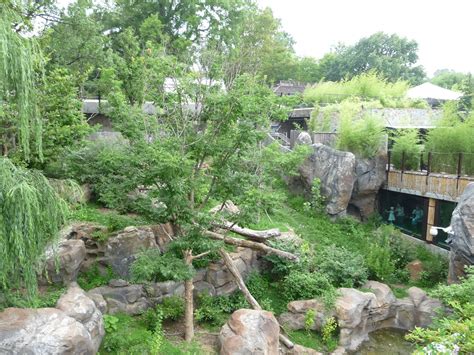 Giant Panda Zoo Habitat