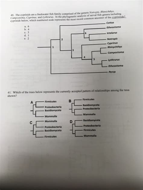 Solved 10. The cyprinids are a freshwater fish family | Chegg.com