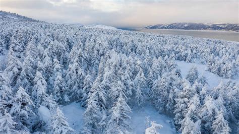 Temperature Dives to Record Lows in Eastern Siberia. Would you Believe ...