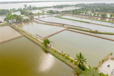 Geography and Unique Features of the Mekong Delta | MrBikerSaigon