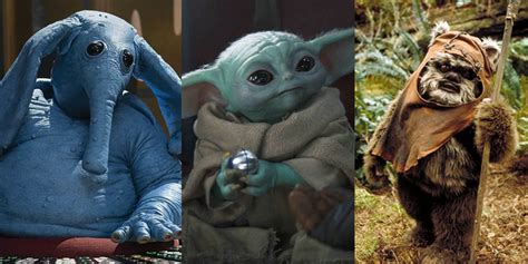 Star Wars' Cutest Creatures