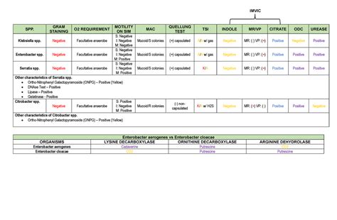 Enterobacteriaceae- Biochemical- Tests - Enterobacter aerogenes vs ...