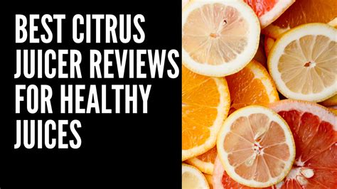 7 Best Citrus Juicer Reviews for Healthy Juices [2020] Electric ...