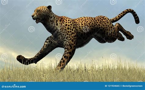 3D Digital Render Of A Jumping Cheetah Stock Image - Image of running ...