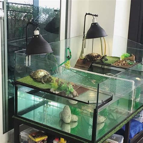 Cool, Cheap Turtle Tank Ideas - Setup Guide & Affordable Habitats