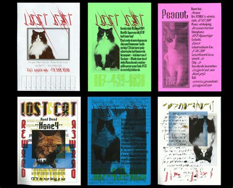 Lost cats Posters on Behance