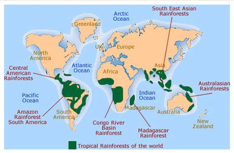 Picture | Tropical rainforest, Rainforest map, Rainforest