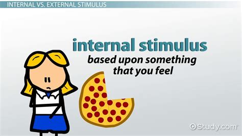 Internal Stimuli Definition & Examples - Lesson | Study.com