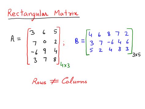 Types of Matrices: Examples of Matrices Types For The Beginner