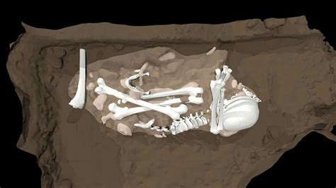 Homo naledi may have dug cave graves and carved marks into cave walls ...