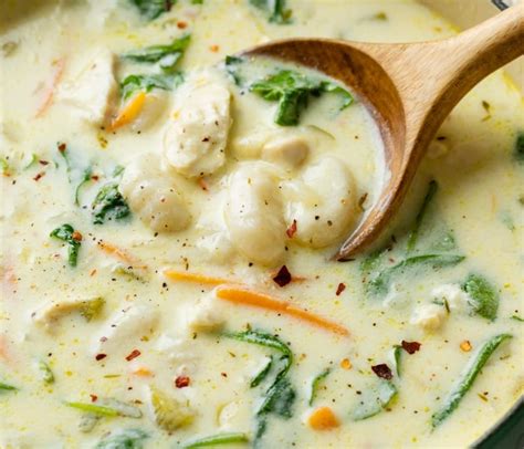 Chicken Gnocchi Soup - The Cozy Cook