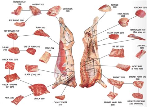 Beef Meat Primal Cuts Diagram - Ask John The Butcher