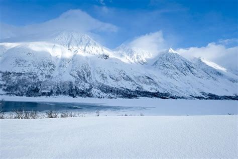 Arktisk fjord och landskapstur 2024 - Tromsö