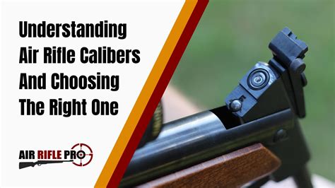 Understanding Air Rifle Calibers And How To Choose The Right One | Air ...