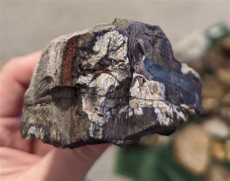 Agatized petrified wood? Slag? Something else? Dawson arkose formation ...