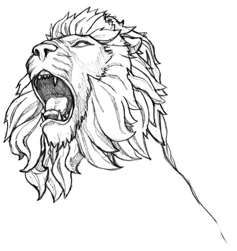 African Lion Drawing at GetDrawings | Free download